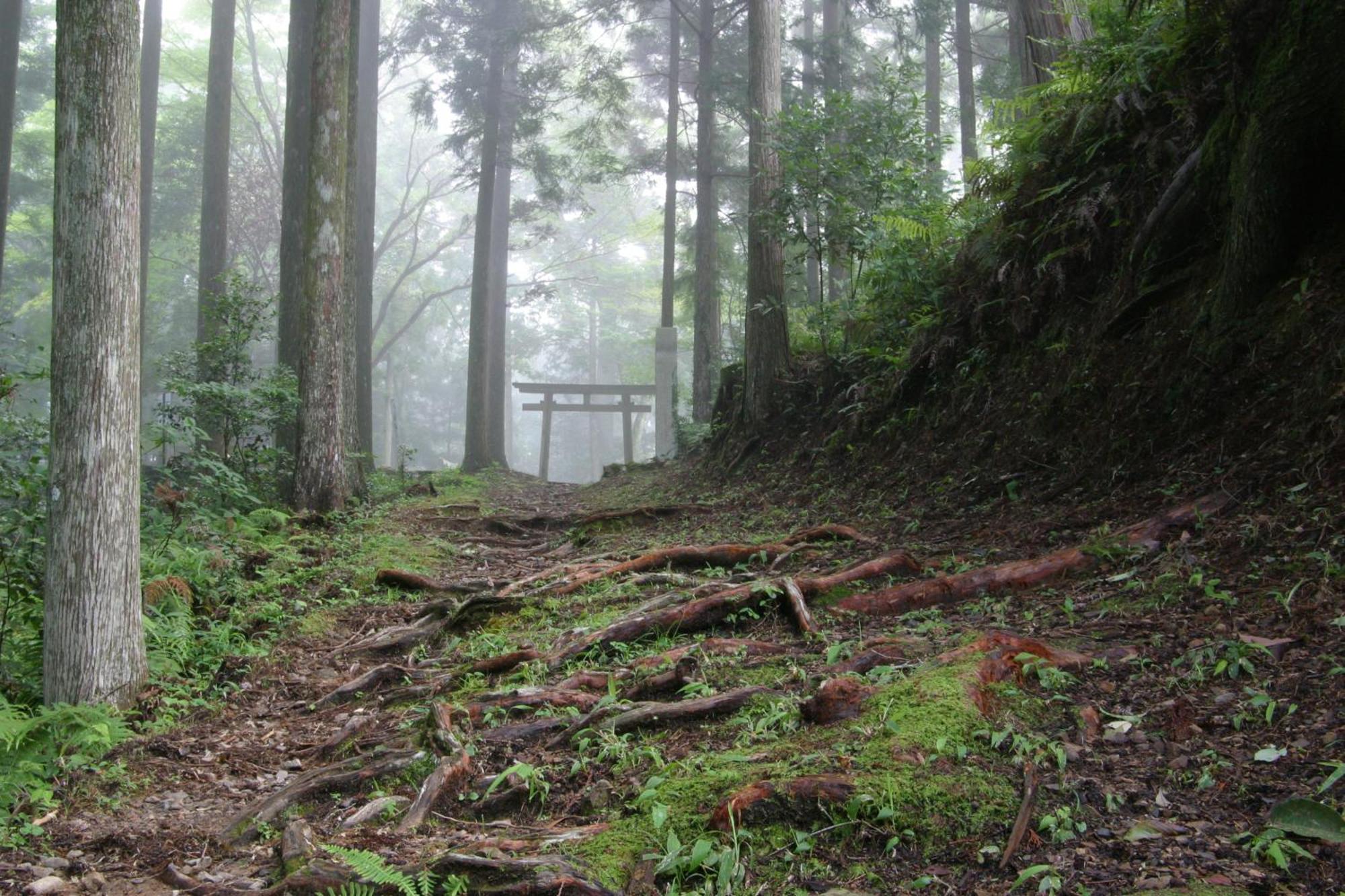 Ashita No Mori 호텔 혼구 외부 사진